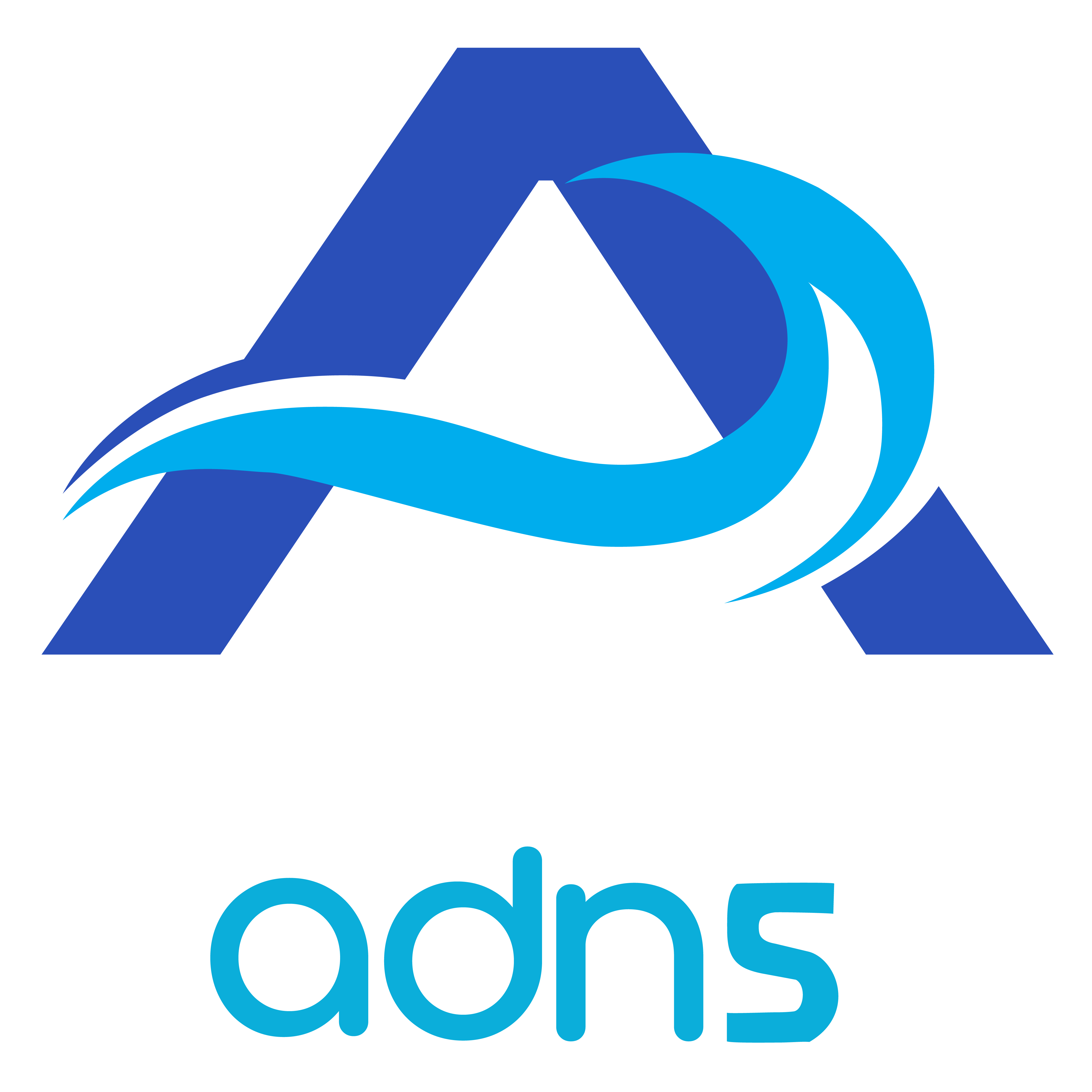 ADNS Property Maintenance